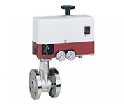 Masoneilan 28000 series Varipak valve