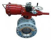 Camflex Rotary Control Valve