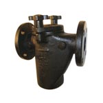 Mueller Flanged End Basket Simplex Strainer