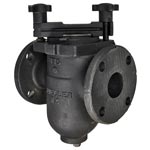 Mueller 155M Cast Iron Simplex Strainer