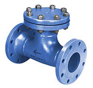 Mueller Tee Strainers