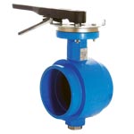 Mueller Grooved End Butterfly Valve Model 89-GEN