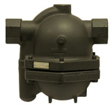 NFT 250 Series Steam Trap