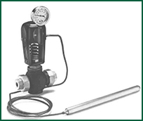 Series 2000 temperature regulator