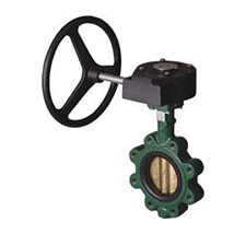 Resilient Seated Butterfly Valve