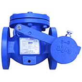 Full Body Check Valve with Weight & Lever Model CV31WF-CI