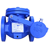 Full Body Check Valve with Weight & Lever Model CV31WF-CI Full Body Check Valve with Weight & Lever Model CV31WF-CI