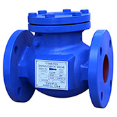 Titan Full Body Check Valve Model CV31F-CI